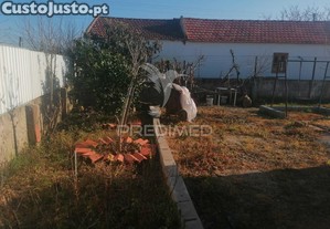 imagem_9