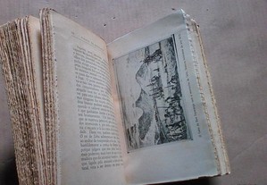 imagem_7