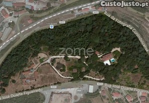 imagem_1