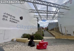 imagem_14