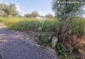 Terreno rustico