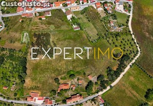 imagem_19