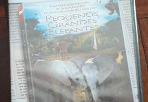imagem_7