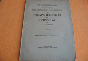 Terrains Jurassiques du Portugal - 1880