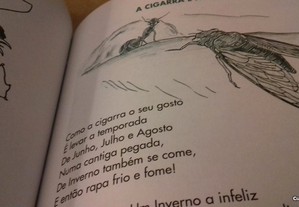 imagem_3