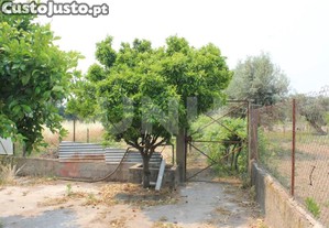 imagem_16