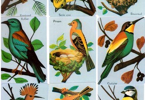 Coleção completa de 18 calendários sobre Aves 1989
