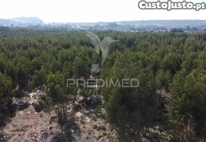 Lote de terreno em palmela