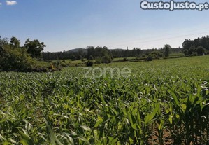Terreno Rustico Agrícola Com 4.000 M2 Em...