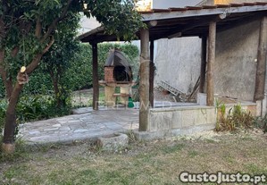 imagem_19