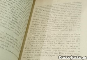 imagem_7