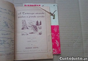 imagem_7