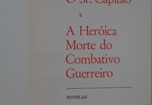 imagem_2