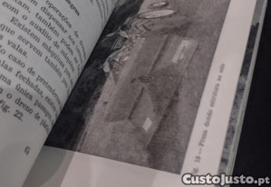imagem_7