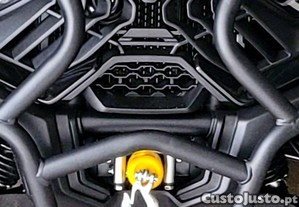 imagem_8