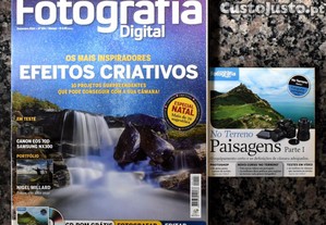 imagem_1