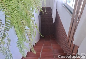 imagem_9