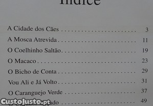 imagem_7