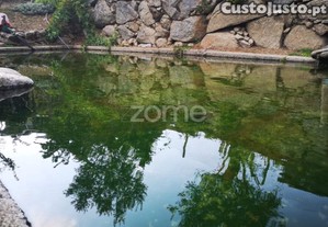 Quinta Da Quebrada, Tresouras, Baião, Porto