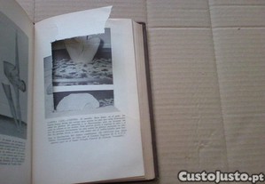 imagem_6