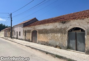 imagem_3