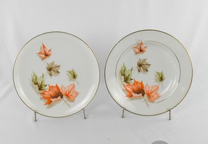 Conjunto de 2 pratos decoração folhas e frisos a ouro porcelana Artibus