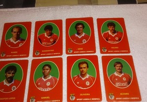 imagem_2