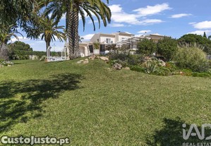 imagem_31