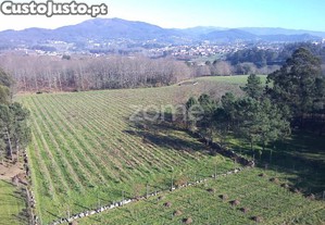 Quinta Agrícola 13300M2 Em Barreiros, Amares