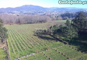 Quinta Agrícola 13300M2 Em Barreiros, Amares