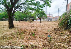 imagem_15
