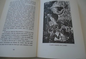 imagem_5