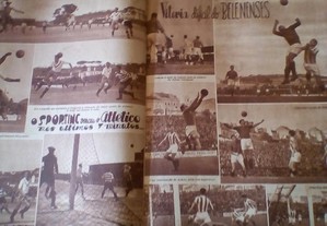 imagem_3