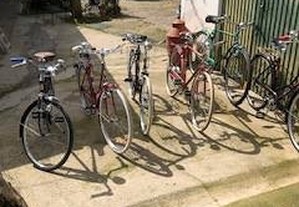 Bicicleta pasteleira vários modelos