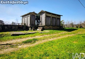 imagem_12