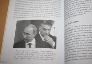 imagem_8