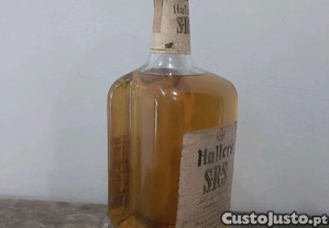 imagem_4