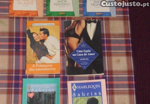 imagem_3
