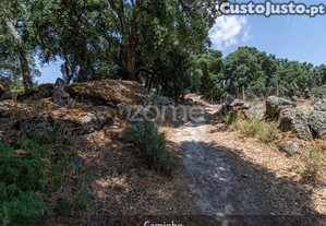 Quintinha - Lousa, Torre De Moncorvo, Portugal