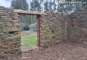 imagem_10
