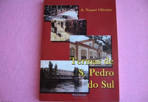 Termas de S. Pedro do Sul - 2002