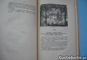 imagem_7
