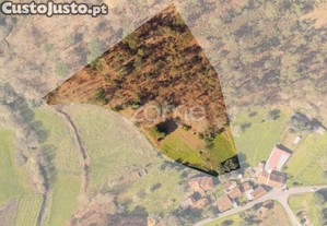 Terreno Rústico Urbanizável Com 4580M2 Em Vale,...