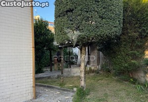 imagem_25