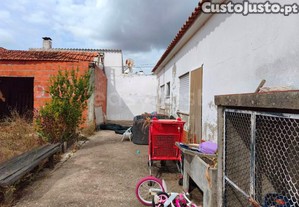 imagem_17