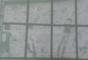 imagem_2