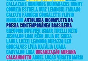 É agora como nunca: Antologia incompleta da poesia contemporânea brasileira