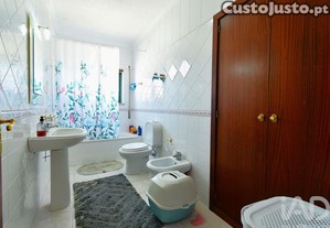 imagem_8