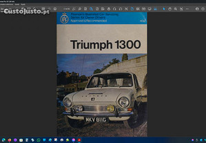Triumph 1300
