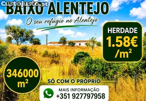 imagem_1